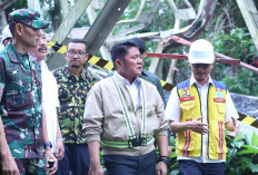 Tak Mau Lagi Di-prank, Pemprov Sumsel Tuntut Percepatan Perbaikan Jembatan Muara Lawai