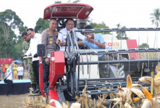 Sinergi Nasional, Polda Sumsel Lampaui Target Tanam Jagung Guna Dukung Swasembada Pangan 2026