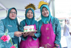 Kreatif! Ada Kue Ulang Tahun dari Sarden di Lomba Masak Palembang, Cara Unik PKK Cegah Stunting
