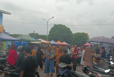 Pemekaran Wilayah Sumatera Selatan: Wacanakan Pembentukan 4 Provinsi Baru Serta 1 Kota dan 9 Kabupaten Baru