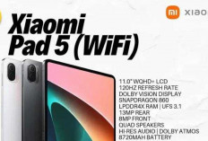 Xiaomi Pad 5, Tablet Terjangkau dengan Performa Mumpuni untuk Desain Grafis