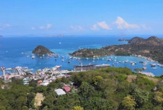 Pemekaran Wilayah Nusa Tenggara Timur: Wacana Pembentukan Provinsi Kepulauan Flores Untuk Entitas Administrati