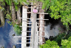 Pemekaran Wilayah Kalimantan Tengah: Wacana Pembentukan Kabupaten Rungan Manuhing untuk Maksimalkan Potensi SD