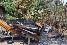 Sijago Merah Hanguskan Rumah Sekaligus Warung Manisan