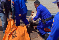 Jatuh dari Tongkang, Dua Korban Ditemukan Meninggal Dunia di Sungai Baung