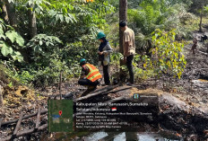 Polisi Bongkar Illegal Refinery di Musi Banyuasin, Puluhan Ribu Liter Minyak Diamankan