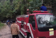 Api Melalap Puncak Bukit Sulap Lubuklinggau, Medan Curam Jadi Kendala Pemadaman