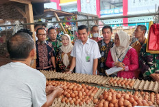 Pastikan Stok Pangan Aman, Imbau Masyarakat Tidak Panik